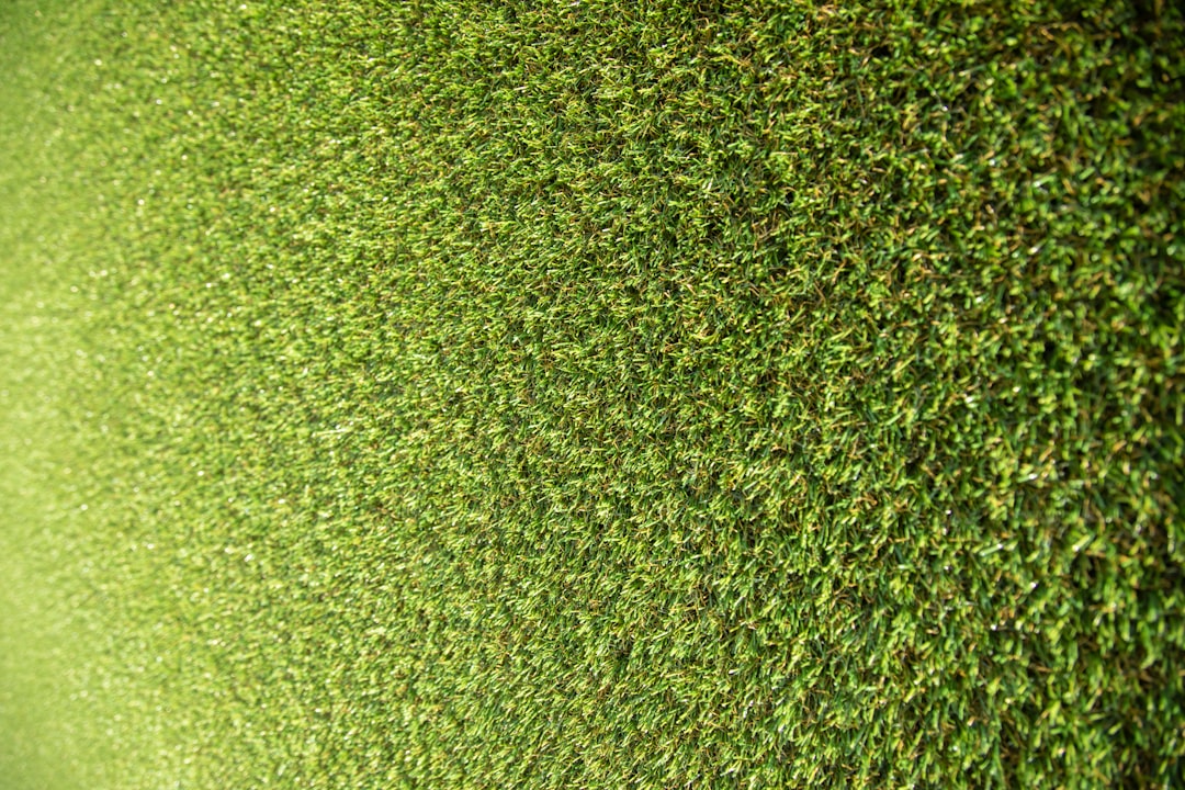 photo 1592823557817 86d614e36133cropentropycstinysrgbfitmaxfmjpgixidM3wxNDA1NTd8MHwxfHNlYXJjaHw4MHx8Z3JlZW4lMjB3YWxsJTIwcGxhbnRzfGVufDF8MHx8fDE3NDM5MjYwMDN8MAixlibrb 4.0.3q80w1080 photo 1592823557817 86d614e36133cropentropycstinysrgbfitmaxfmjpgixidM3wxNDA1NTd8MHwxfHNlYXJjaHw4MHx8Z3JlZW4lMjB3YWxsJTIwcGxhbnRzfGVufDF8MHx8fDE3NDM5MjYwMDN8MAixlibrb 4.0.3q80w1080
